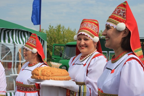 Карта поводимово дубенского района